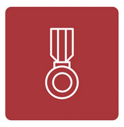 An icon of a medal.